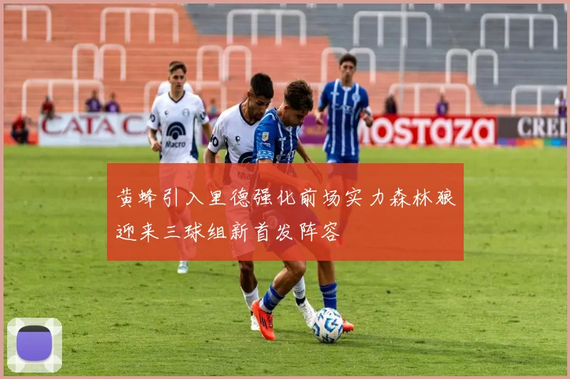 黄蜂引入里德强化前场实力森林狼迎来三球组新首发阵容